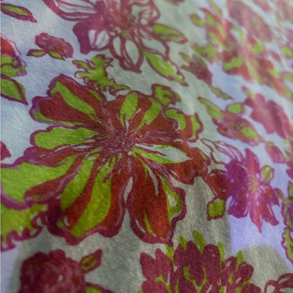 Lilly Pulitzer Cotton Maxi Dress - Picture 2 of 11